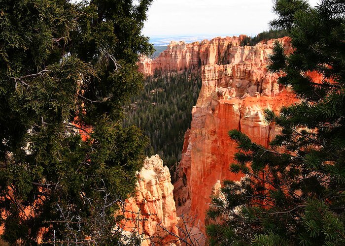 Bryce Canyon National Park Greeting Card featuring the photograph Capitol Reef National Park #271 by Mark Smith