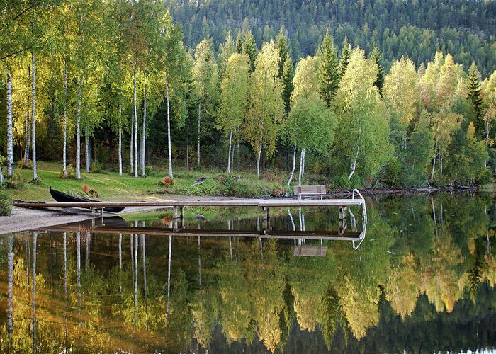 Birches Greeting Card featuring the photograph Birches and Reflection #4 by Aivar Mikko
