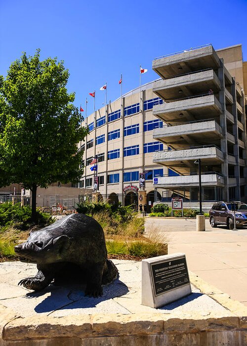 Badger; Statue; Mascot; Camp; Randall; Stadium; Madison; Wi; Uw; Badgers; College; American; Football; University; Team; Gridiron; Field; Bowl; Athletic; Park; Ground; Venue; Recreation; Dirt; Competition; World; Series; Sports; Architecture; City; Downtown; Modern; Construction; Building; Landmark; Exterior; Design; America; Usa Greeting Card featuring the photograph Camp Randall UW Madison #4 by Chris Smith