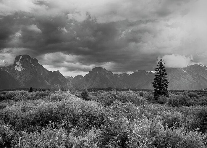Grand Greeting Card featuring the photograph Grand Tetons #3 by Hugh Smith