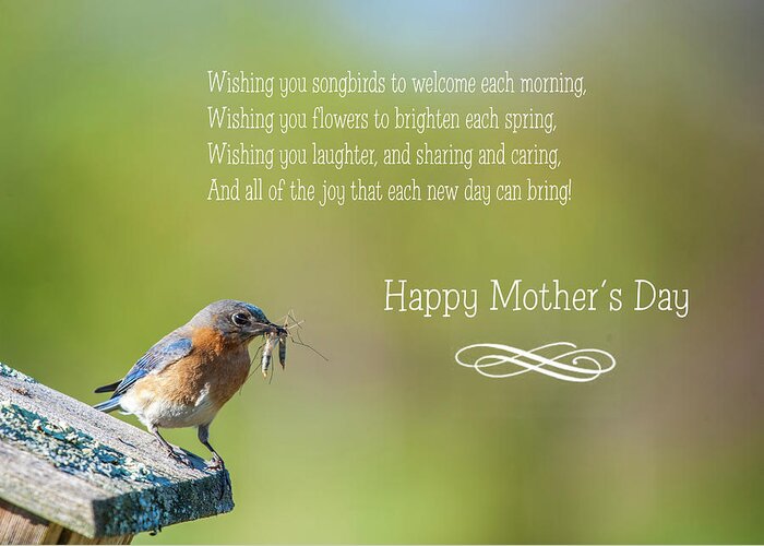 Bluebird Greeting Card featuring the photograph Happy Mothers Day by Cathy Kovarik