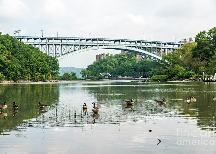 2016 Greeting Card featuring the photograph Henry Hudson Bridge #3 by Cole Thompson