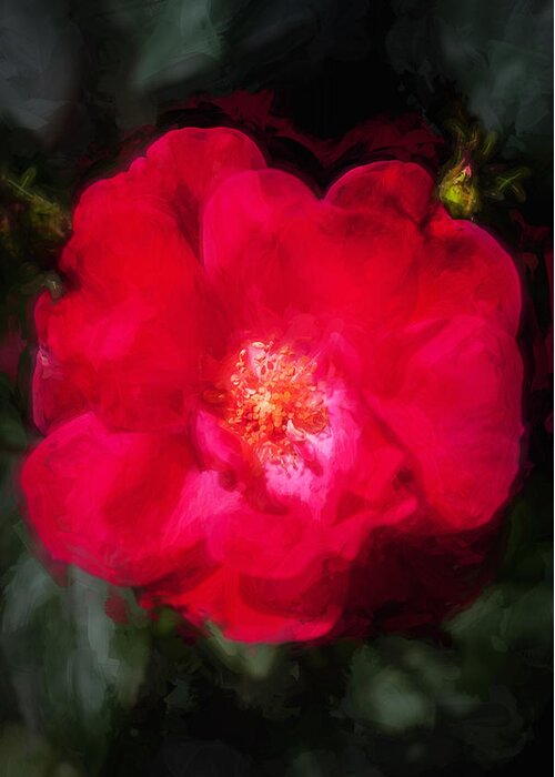 Roses Greeting Card featuring the photograph Knockout Roses Painted #3 by Rich Franco