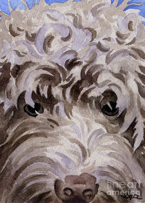 Labradoodle Greeting Card featuring the painting Labradoodle #2 by David Rogers
