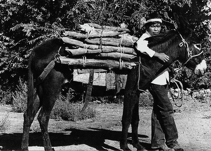 Navajo Boy Donkey Carrying Wood Inter-tribal Indian Rodeo Gallup New Mexico 1969. Greeting Card featuring the photograph Navajo Boy Donkey Carrying Wood Inter-tribal Indian Rodeo Gallup New Mexico 1969. #4 by David Lee Guss