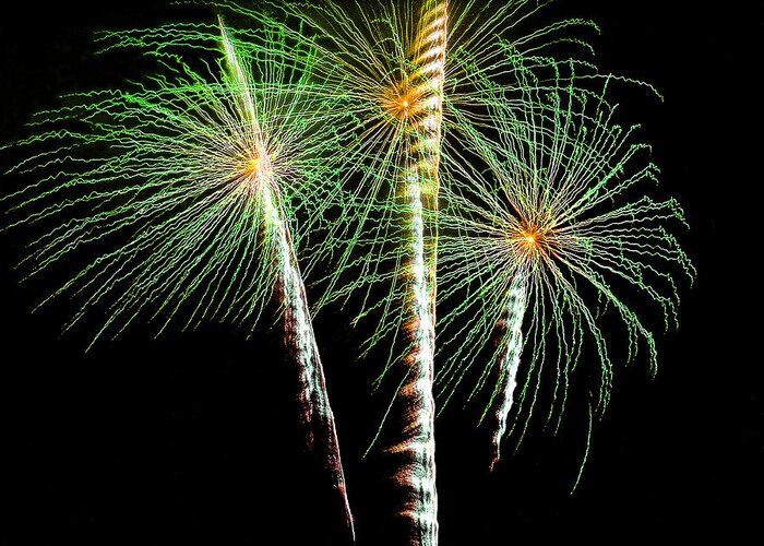 Fireworks Greeting Card featuring the photograph 3 Palm Trees Fireworks by Brian Tada