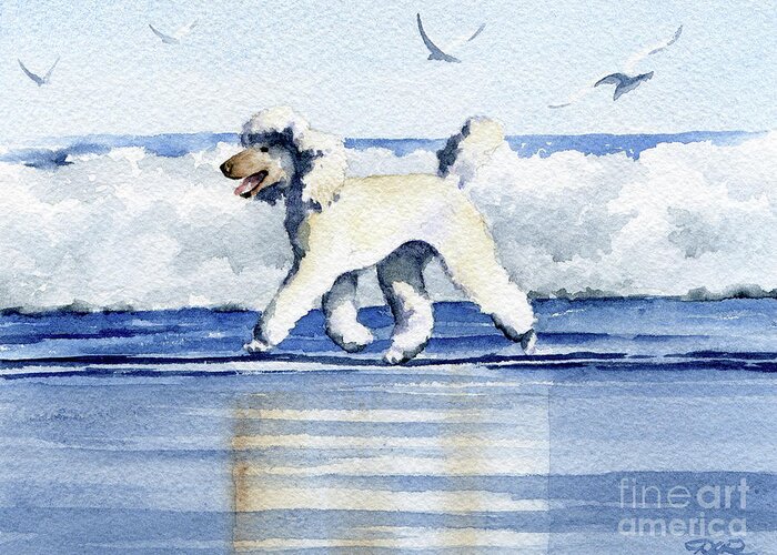 Poodle Greeting Card featuring the painting Poodle at the Beach #2 by David Rogers