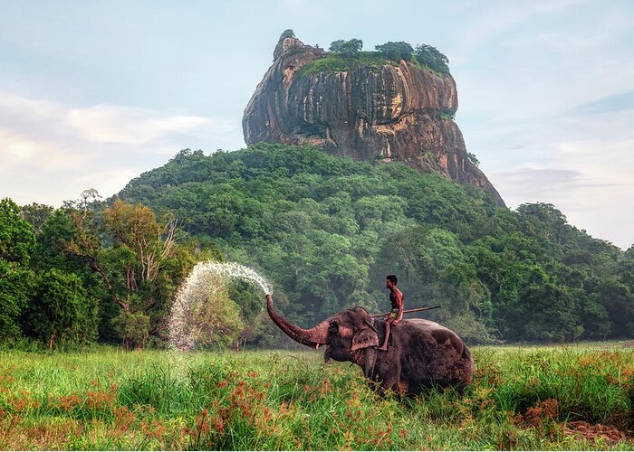 Elephant Greeting Card featuring the photograph Sigiriya - Sri Lanka #3 by Joana Kruse