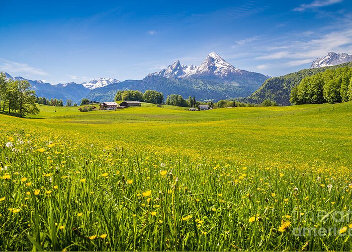 Summer Greeting Card featuring the photograph Springtime in the Alps #4 by JR Photography