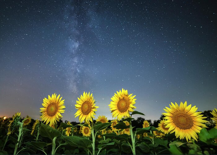 Ryan Heffron Greeting Card featuring the photograph Sunflower Galaxy iv by Ryan Heffron