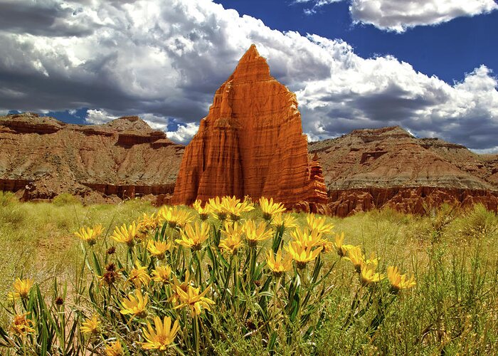 Capitol Reef National Park Greeting Card featuring the photograph Capitol Reef National Park by Mark Smith