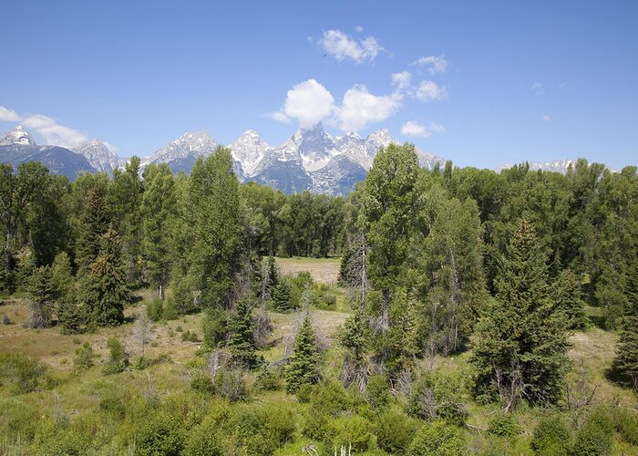 Wyoming Greeting Card featuring the photograph Grand Teton National Park #38 by Mark Smith