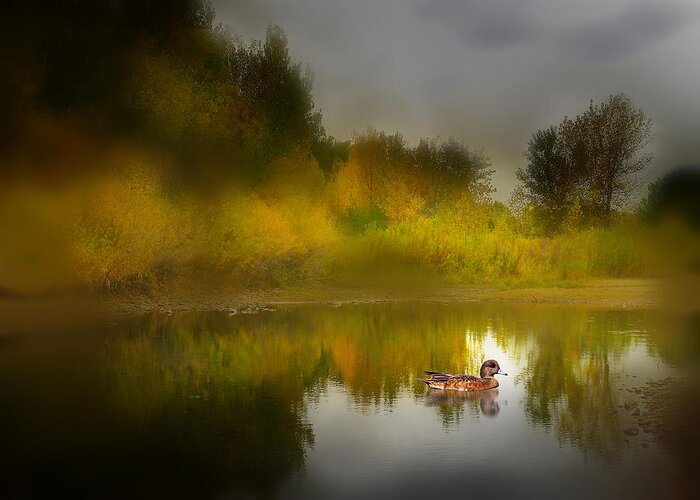 Duck Greeting Card featuring the photograph 3895 by Peter Holme III