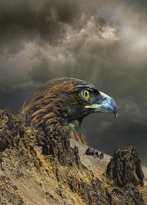 Eagle Greeting Card featuring the photograph 3940 by Peter Holme III