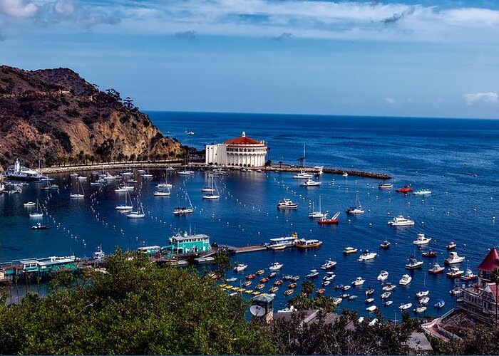 Catalina Island Greeting Card featuring the photograph Beautiful Catalina Island #4 by Mountain Dreams