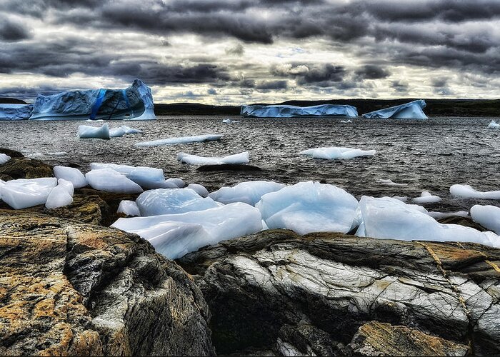 Ocean Greeting Card featuring the photograph Icebergs at St. Anthony #4 by Steve Hurt