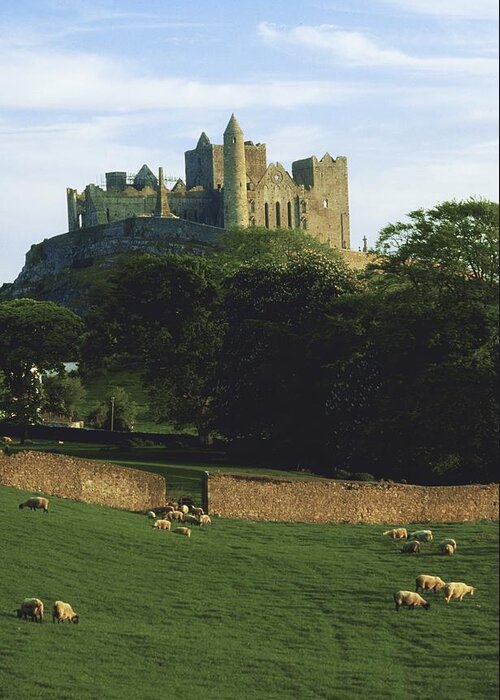 Outdoors Greeting Card featuring the photograph Rock Of Cashel, Co Tipperary, Ireland #4 by The Irish Image Collection 