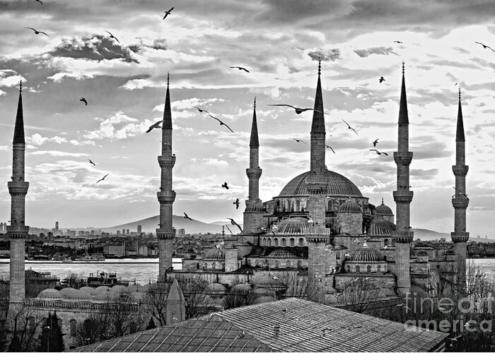 Arabic Greeting Card featuring the photograph The Blue Mosque - Istanbul #4 by Luciano Mortula