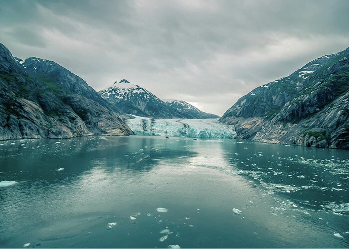 Arm Greeting Card featuring the photograph Tracy Arm Fjord Scenery In June In Alaska #4 by Alex Grichenko