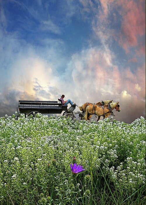 Wagon Greeting Card featuring the photograph 4376 by Peter Holme III