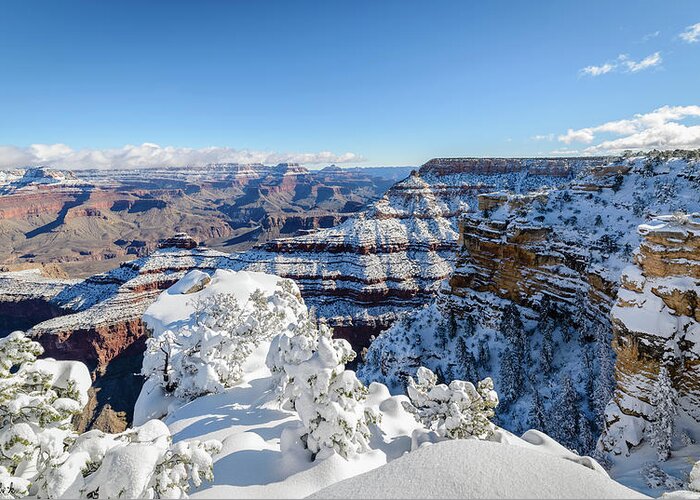 Grand Canyon Greeting Card featuring the photograph Grand Canyon #5 by Mike Ronnebeck