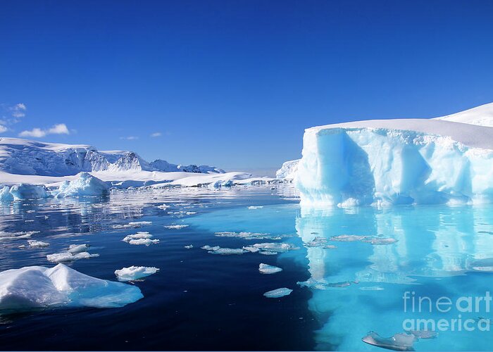 Landscapes Greeting Card featuring the photograph Wilhelmina Bay Antarctica #5 by Lilach Weiss