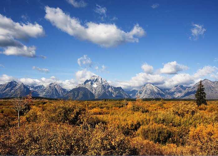 Wyoming Greeting Card featuring the photograph Grand Teton National Park #55 by Mark Smith