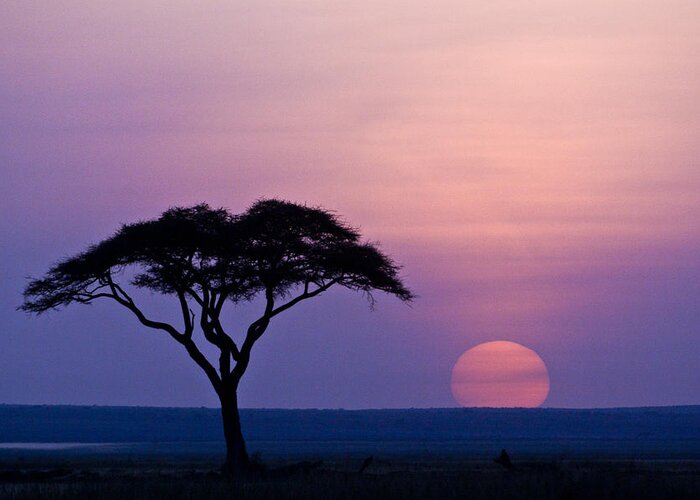 Africa Greeting Card featuring the photograph African Sunrise #8 by Michele Burgess