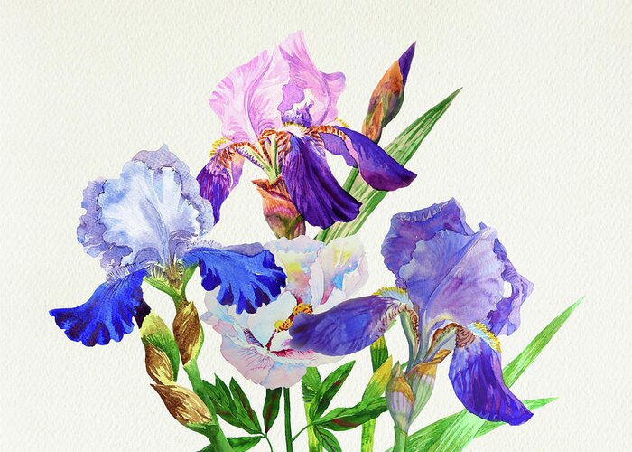 Bouquet Greeting Card featuring the digital art Blue irises. Watercolor flowers #8 by Natalia Piacheva