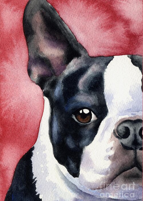 Boston Greeting Card featuring the painting Boston Terrier #7 by David Rogers