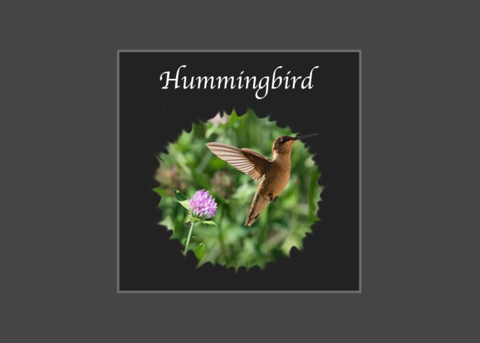 Hummingbird Greeting Card featuring the photograph Hummingbird by Holden The Moment
