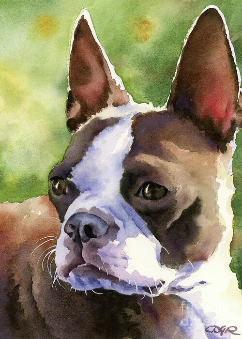 Boston Terrier Greeting Card featuring the painting Boston Terrier #11 by David Rogers