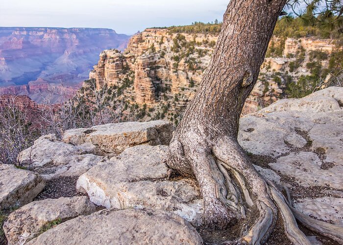 Canyon Greeting Card featuring the photograph Scenery Around Grand Canyon In Arizona #9 by Alex Grichenko