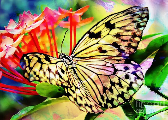 Rice Paper Butterfly Greeting Card featuring the photograph A Butterflies Luck by Clare Bevan