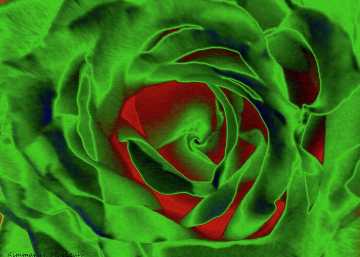 Rose Greeting Card featuring the digital art A Complimentary Rose by Kimmary MacLean