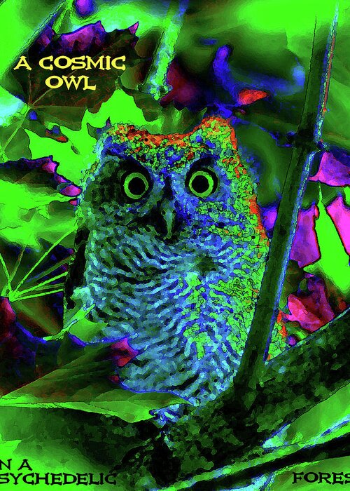 Owl Greeting Card featuring the photograph A Cosmic Owl in a Psychedelic Forest by Ben Upham III