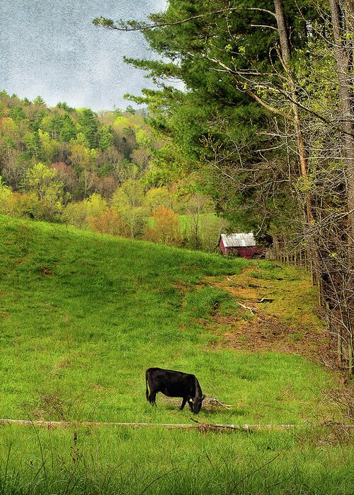 Rural Scene Greeting Card featuring the photograph A Country Morning by Mike Eingle
