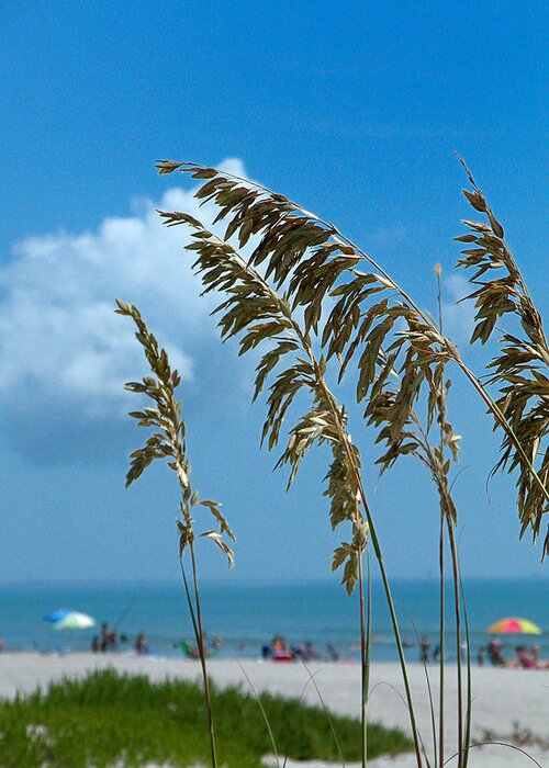 Beach Greeting Card featuring the photograph A Day at The Beach - Cocoa Beach FL by Frank Mari