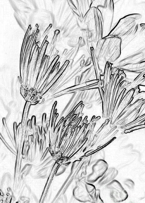 Flowers Greeting Card featuring the photograph A Flower Sketch by Julie Lueders 