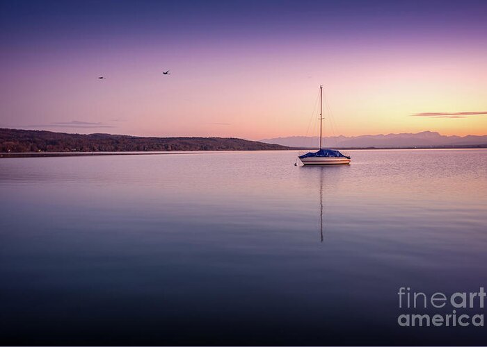 Ammersee Greeting Card featuring the photograph A Fragile Moment by Hannes Cmarits