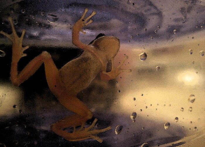 Frog Greeting Card featuring the digital art A Frogs World by Holly Ethan