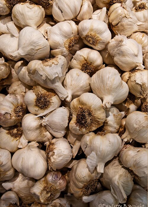 Garlic Greeting Card featuring the photograph A Hotbed of Bad Breath by Paulette B Wright