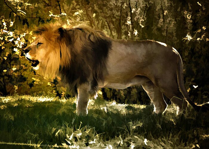 Animal Greeting Card featuring the photograph A Lion King by Elaine Manley