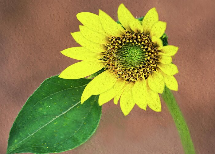 Sunflower Greeting Card featuring the photograph A Little Lean by Art Cole