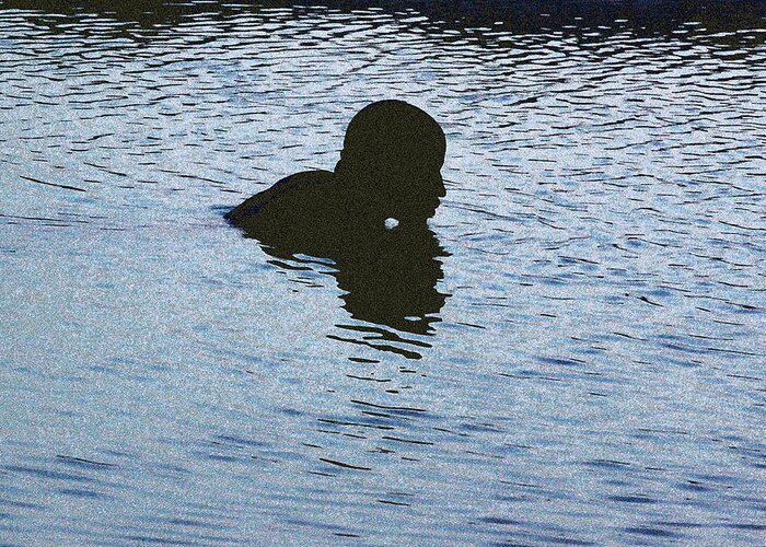Silhouette Greeting Card featuring the photograph Pond of Reflection by Ross Lewis