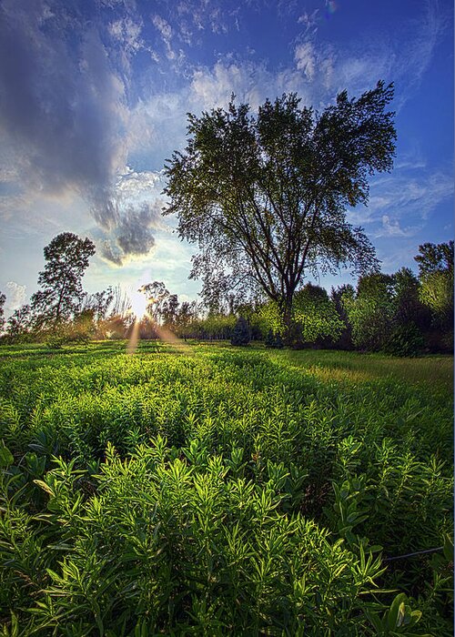 Spring Greeting Card featuring the photograph A Moment Or Two by Phil Koch