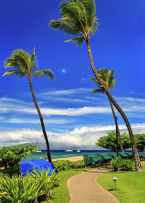 Path Greeting Card featuring the photograph A Path In Kaanapali by James Eddy