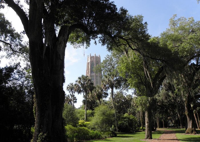 Bok Tower Greeting Card featuring the photograph A Path To The Tower by Kim Galluzzo Wozniak