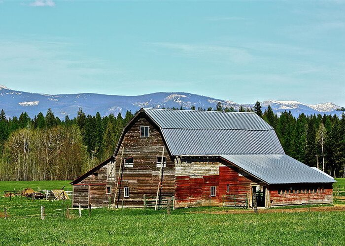 Barn Greeting Card featuring the photograph A Peaceful Place by Diana Hatcher