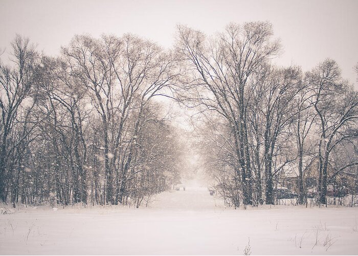  Greeting Card featuring the photograph A Snowy Monday by Viviana Nadowski